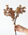 Faux amber sedum bundle showing the rust and tobacco color gradation