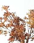 Texture detail of hard plastic amber sedum berries on a wired stem