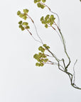30" Faux Mini Fuzzy Blossom Branch