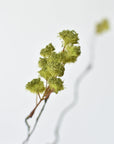 30" Faux Mini Fuzzy Blossom Branch