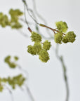 30" Faux Mini Fuzzy Blossom Branch