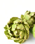 3"x3.5" Faux Artichoke Head