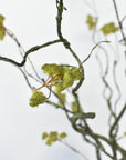 30" Faux Mini Fuzzy Blossom Branch