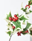Full length view of the 30 inch faux white edged holly stem