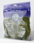 Preserved Sheet Moss, 8" x 9" piece