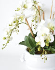 Creamware Oval Cachepot with Pomegranate