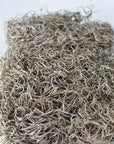 Spanish Moss: Natural Color