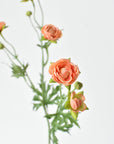 22" Faux Mini Peach Ranunculus Stem