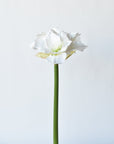 29" Faux White Amaryllis Stem