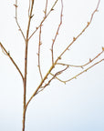 40" Faux Light Brown Twig Branch Stem