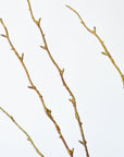 40" Faux Light Brown Twig Branch Stem