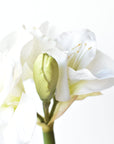 29" Faux White Amaryllis Stem
