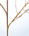 40" Faux Light Brown Twig Branch Stem