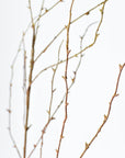 40" Faux Light Brown Twig Branch Stem