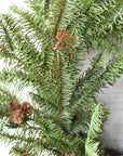 24" Faux Green Spruce Real Touch Wreath w/Faux Pinecones