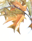 32" Faux Holly Leaf Stem Branch