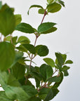 17" Faux Greenery Bush