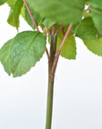 17" Faux Greenery Bush