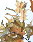32" Faux Holly Leaf Stem Branch