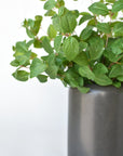 17" Faux Greenery Bush