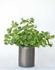 17" Faux Greenery Bush
