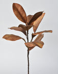21" Faux Magnolia Leaf Stem : Tobacco