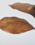 21" Faux Magnolia Leaf Stem : Tobacco