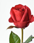 23" Faux Red Rose Bud Stem