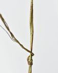 42" Faux Blue Berry Stem Vine