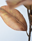 21" Faux Magnolia Leaf Stem : Tobacco
