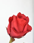 23" Faux Red Rose Bud Stem