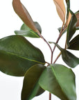 16.5" Faux Magnolia Leaf Stem