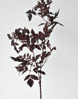 31" Faux Cimicifunga Ramosa Stem: Plum