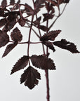 31" Faux Cimicifunga Ramosa Stem: Plum