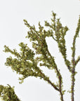 33" Faux Moss Twig Branch Stem
