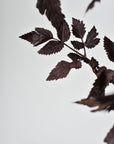 31" Faux Cimicifunga Ramosa Stem: Plum