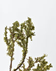 33" Faux Moss Twig Branch Stem