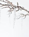 37" Iced Branch with Acrylic Icicles