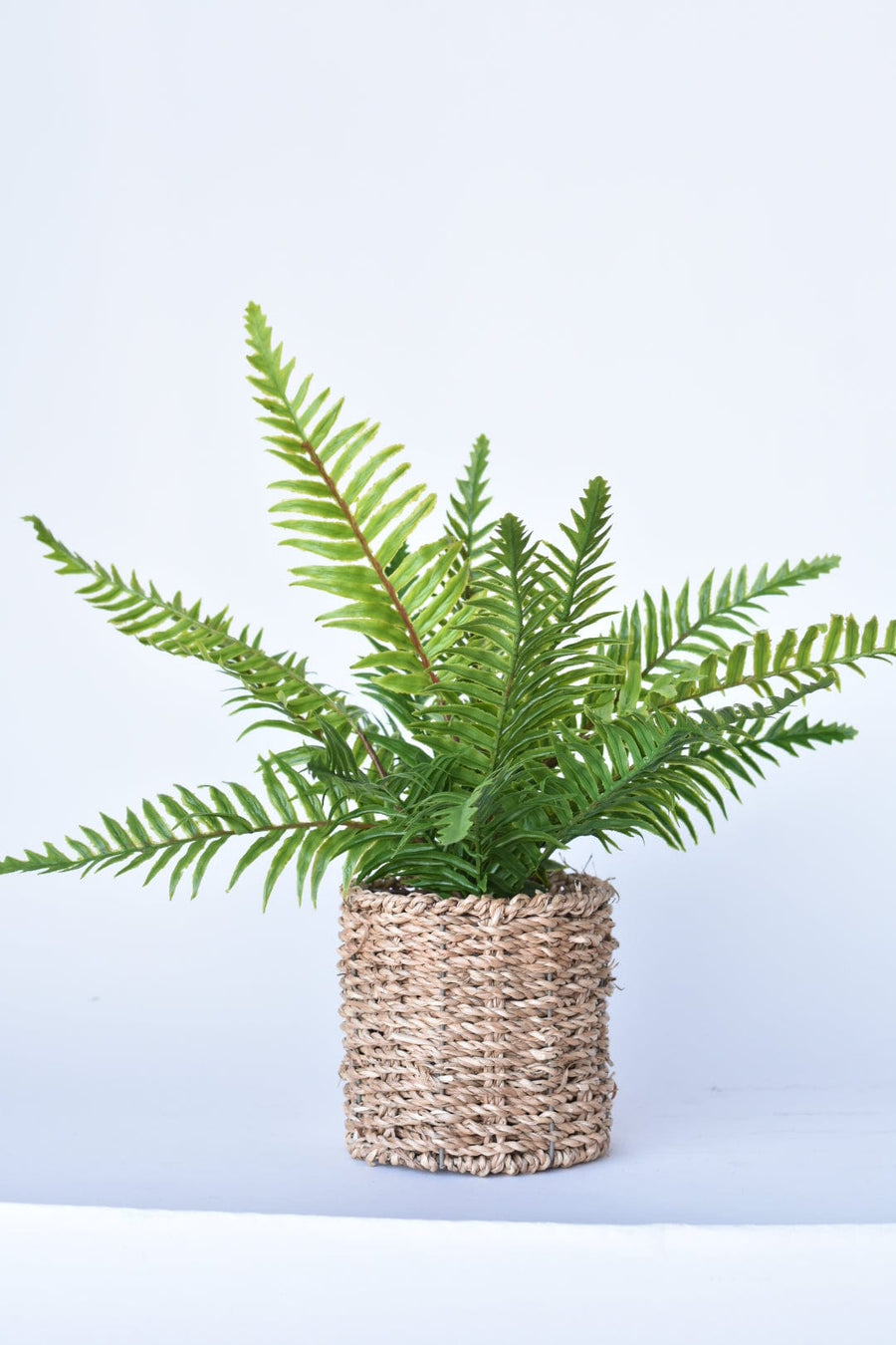 15" Faux Boston Fern in Seagrass Basket Container