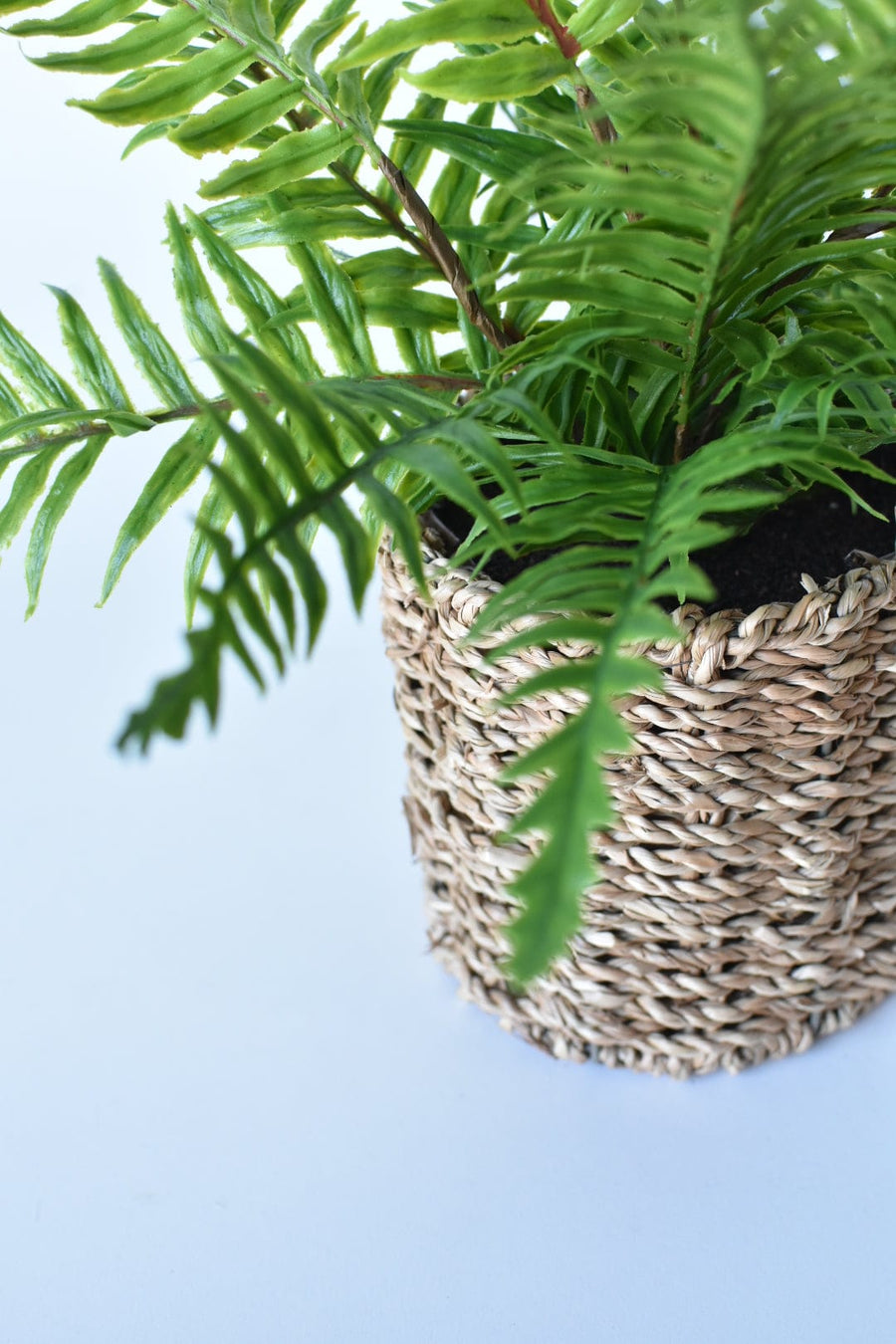 15" Faux Boston Fern in Seagrass Basket Container