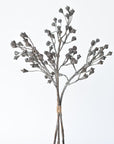 21" Faux Ice Glittered Twig with Pod Bundle (3 Stems)