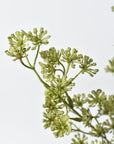 Close-up of faux green sedum plant branches on a light gray background