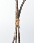 21" Faux Ice Glittered Twig with Pod Bundle (3 Stems)