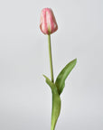 Single pink tulip with green stem on a light gray background