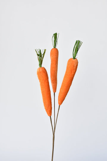 22" Velvet Carrots Spray Stem