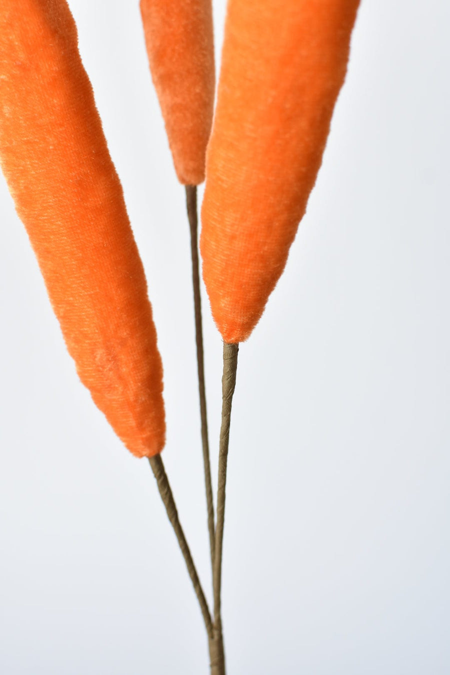 22" Velvet Carrots Spray Stem