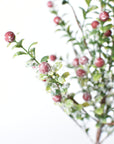 21" Faux Frosted Greenery with Red Berry Stem