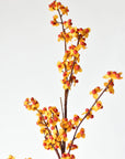 Tall faux bittersweet stem that splits at 14.5 inches from the base