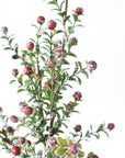 21" Faux Frosted Greenery with Red Berry Stem