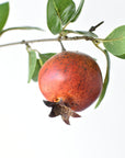 38" Faux Pomegranate Fruit Branch